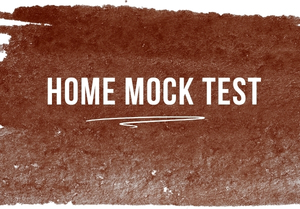 01. Home Mock Test-FutureEd